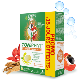 Toniphyt Boost énergie - goût citron-menthe