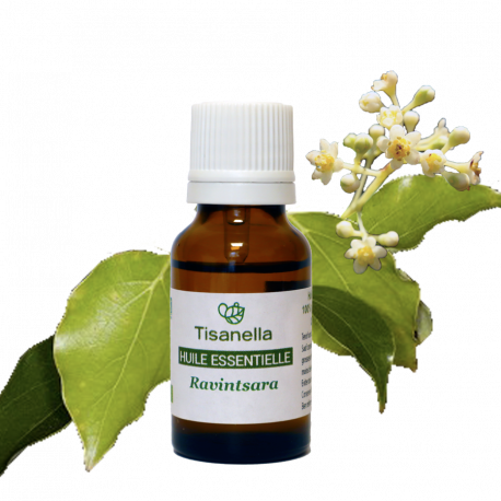 Tisanes Fouché - Huile essentielle de ravintsara bio : Cinnamomun camphora  bio - 10 ml