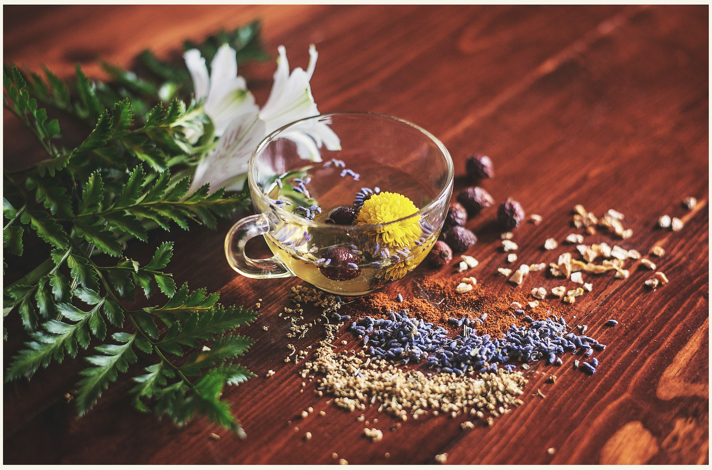 Infusion phytothérapie