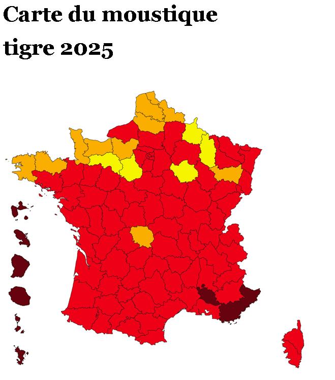carte moustique tigre 2025